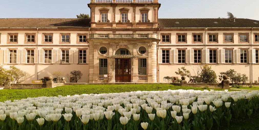Château du Burgstall, Guebwiller, France